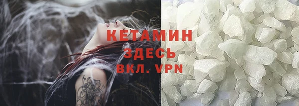 прущие грибы Белокуриха