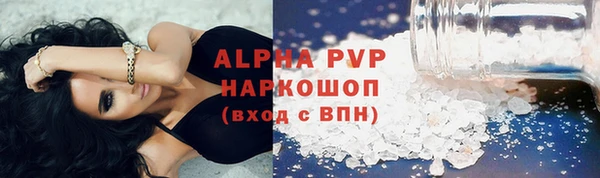 прущие грибы Белокуриха