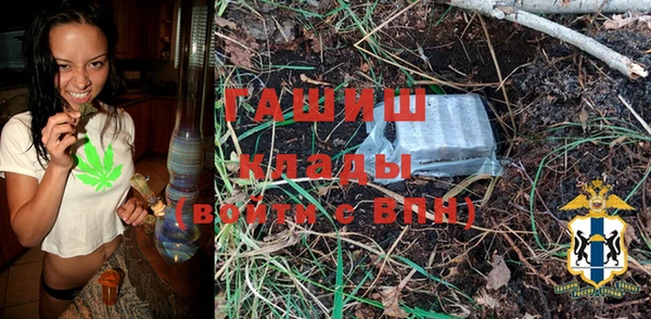 прущие грибы Белокуриха