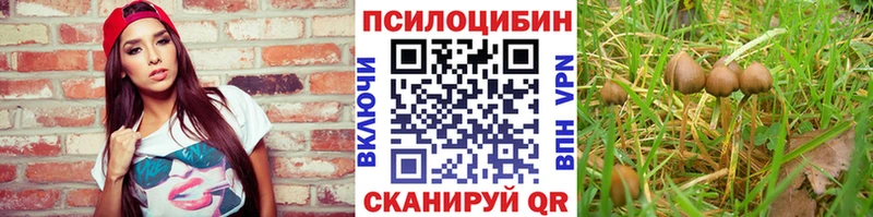 Купить где  Высоцк  Псилоцибиновые грибы MAGIC MUSHROOMS 